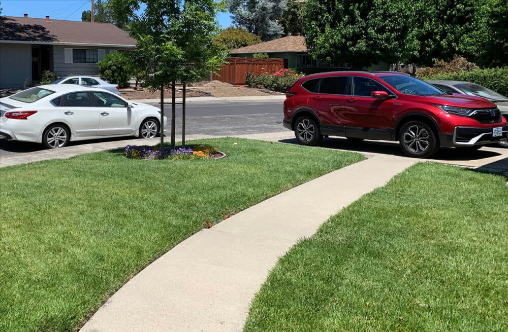 A green lawn with a tan pavement path.