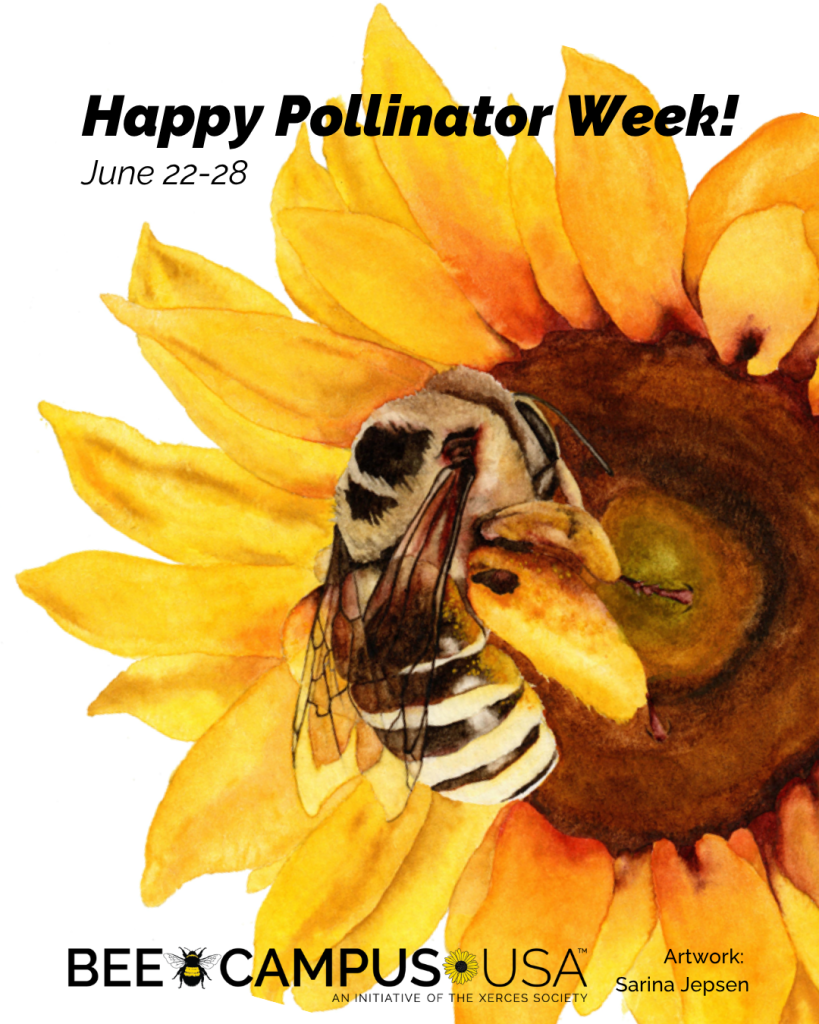 A painting of a striped bee on a yellow sunflower with black text