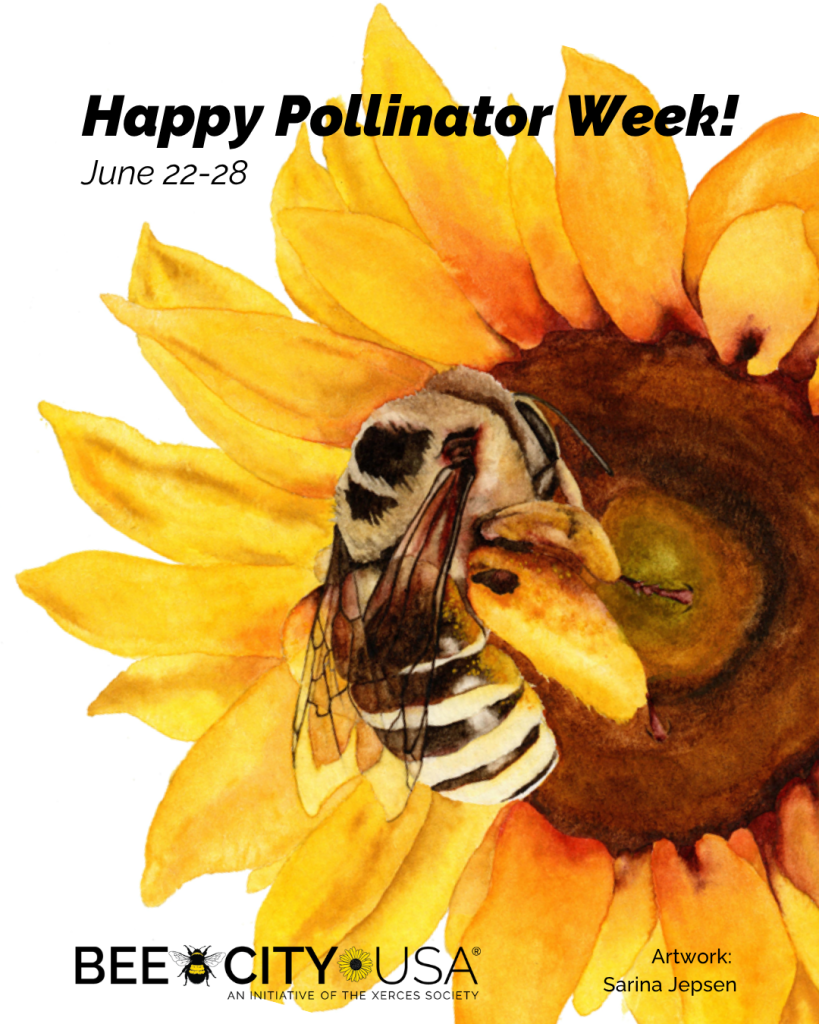 A painting of a striped bee on a yellow sunflower with black text