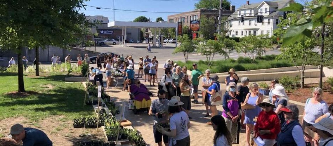 A large crowd of people stand near pots of pollinator plants