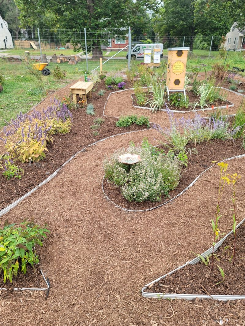 Swirling paths of brown mulch around green native plants with tall beehives in the background.