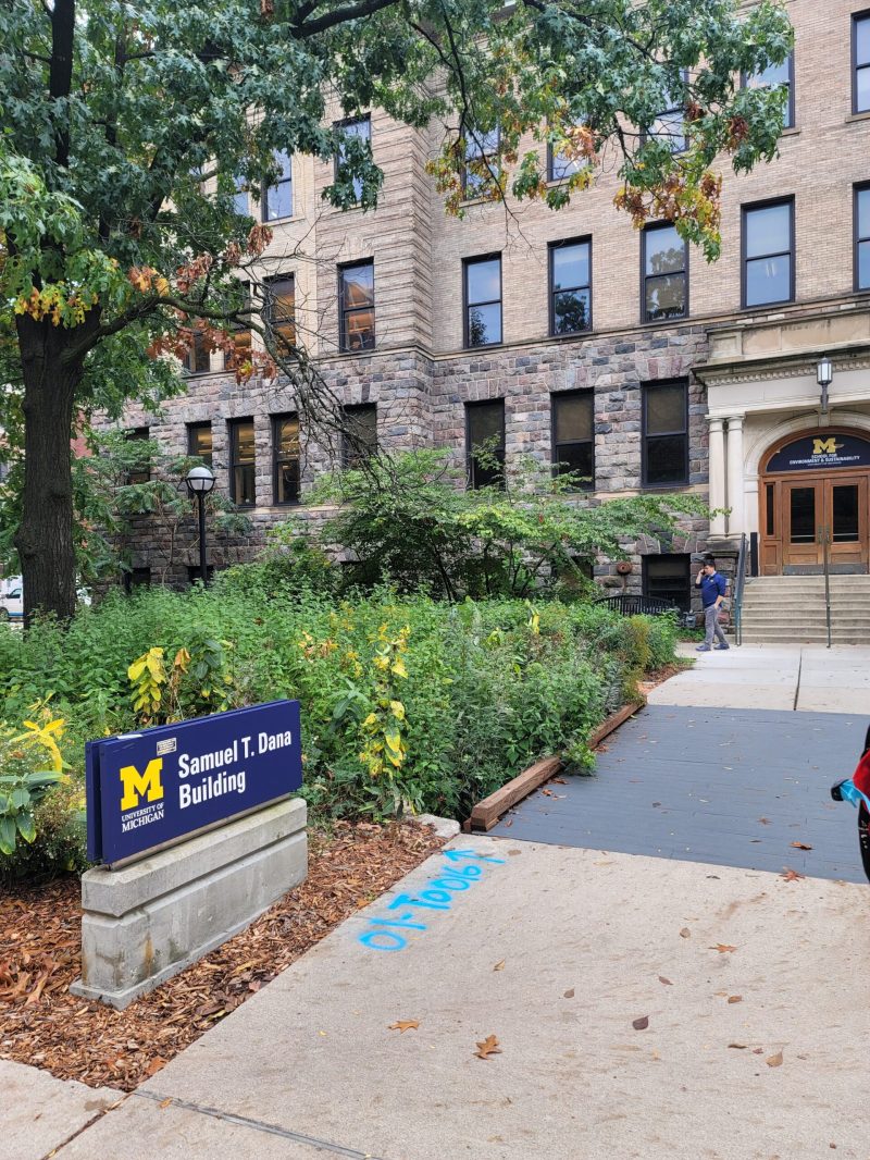 A taller, green meadow in front of a gray-beige building with a blue sign. To the right is a walkway leading to front doors.