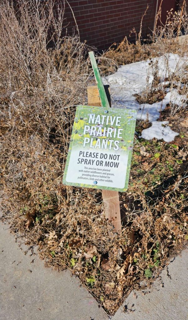 A small green and white sign surrounded by leaves, stems, and a bit of snow.