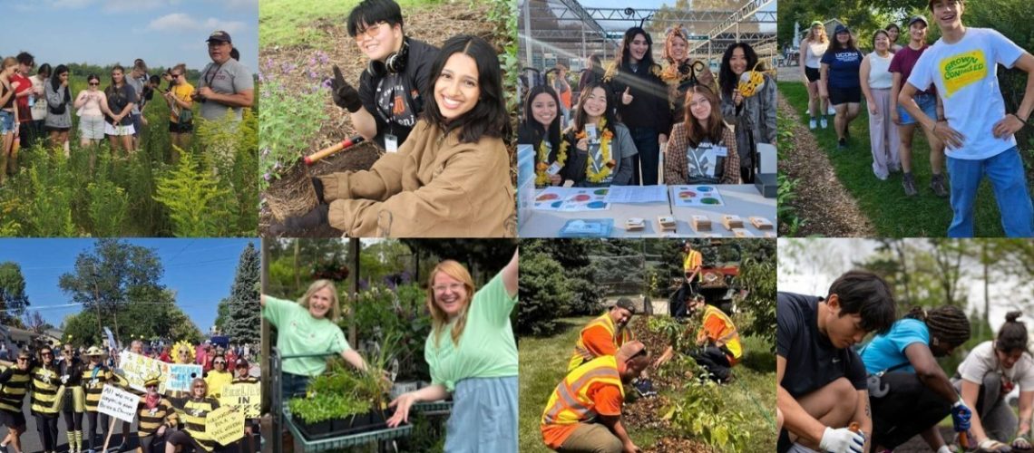 A collage of 8 photos of various people doing activities outdoors.