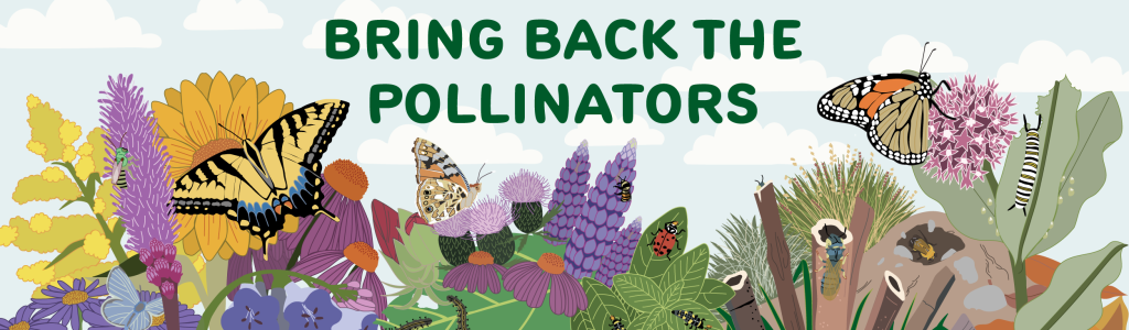 A colorful illustration of pollinators and flowers with text.