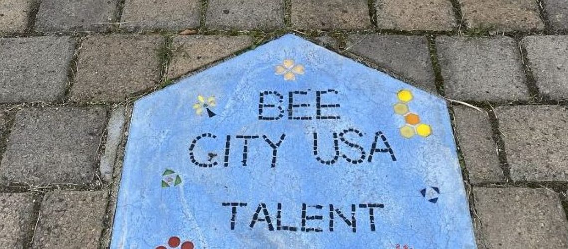 BCUSA-Talent-tiny-park-c.MicheleBlackburnXS