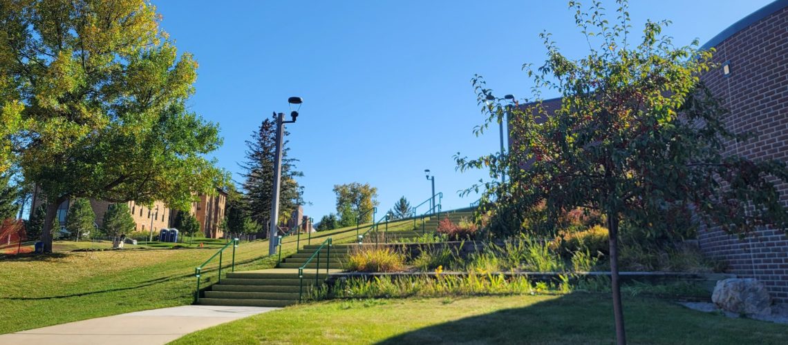 A lawn with a path leading to a terraced hillside with stairs next to a building.