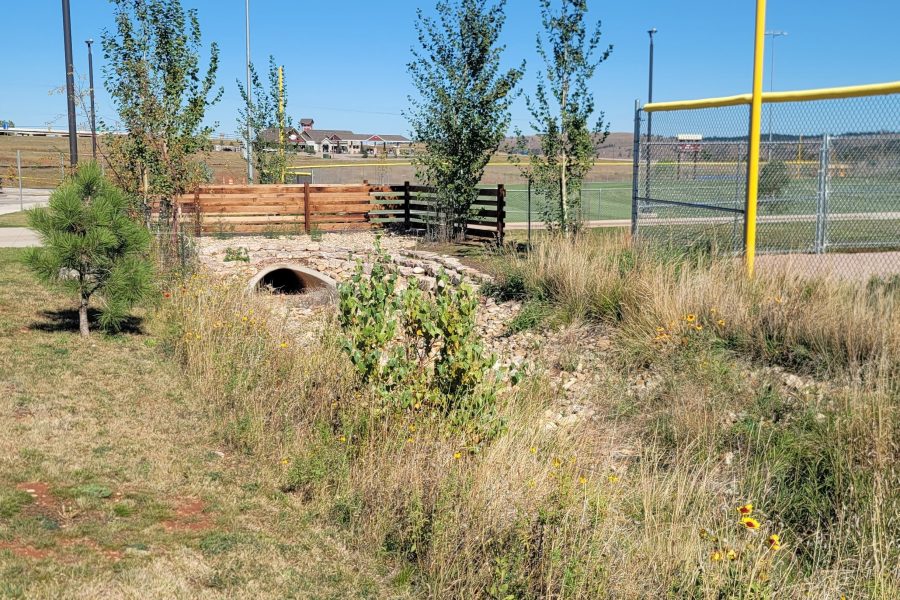 A grassy bioswale with a small footbridge.