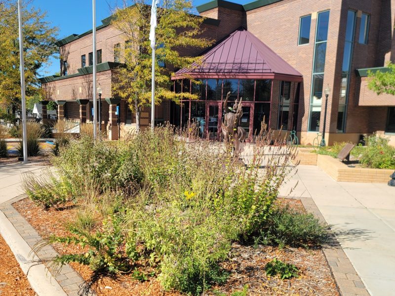 A planting of pollinator plants in from of a building.