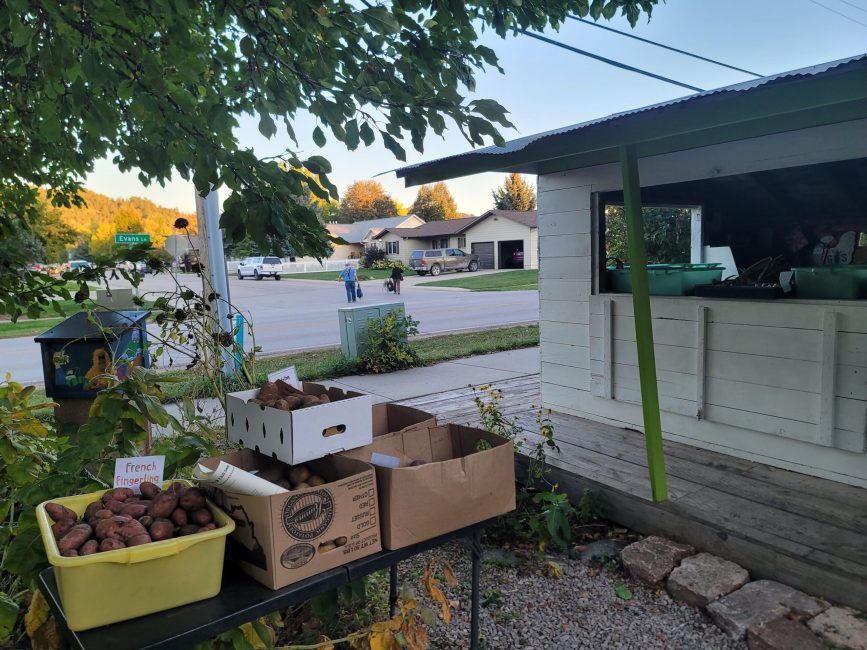 Crates of vegetables along a roadside next to a small white and green building.