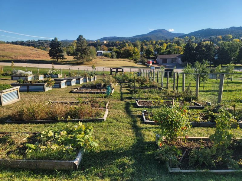 View of a garden with short raised beds in a grid pattern, surrounded by green grass and a fence. Hills and blue sky in the background.