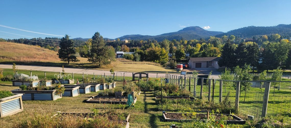 View of a garden with short raised beds in a grid pattern, surrounded by green grass and a fence. Hills and blue sky in the background.