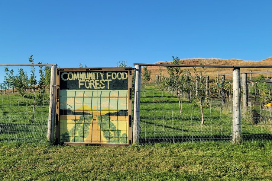 A fence with a painting on a sign reading "Community Food Forest"