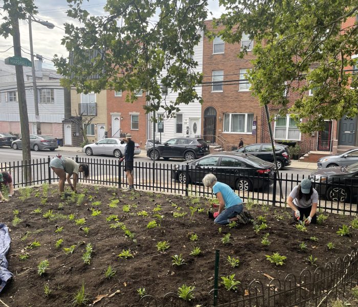Six people crouch down planting small plants next to a road, with mostly brick buildings in the background.