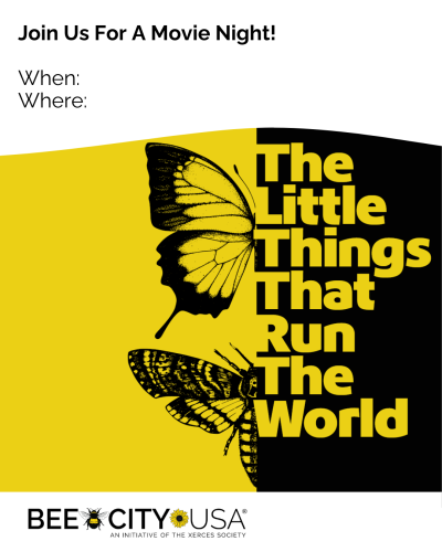 Little Things Film - Bee City