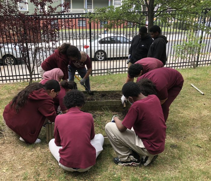 Eleven people in maroon or black tops crouch and stand around two raised garden beds, surrounded by a lawn, with a black metal fence in the background.