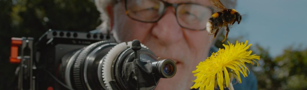 Man with glasses behind camera, looking at bee on yellow flower.