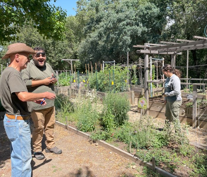 Three people smile around a raised garden bed on a sunny day.