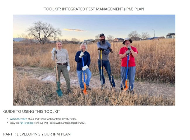 A screenshot of the first page of the toolkit.