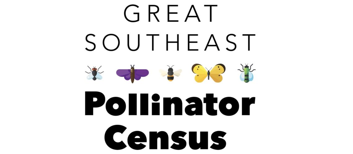 Black text on a white background with colorful illustrations of bugs