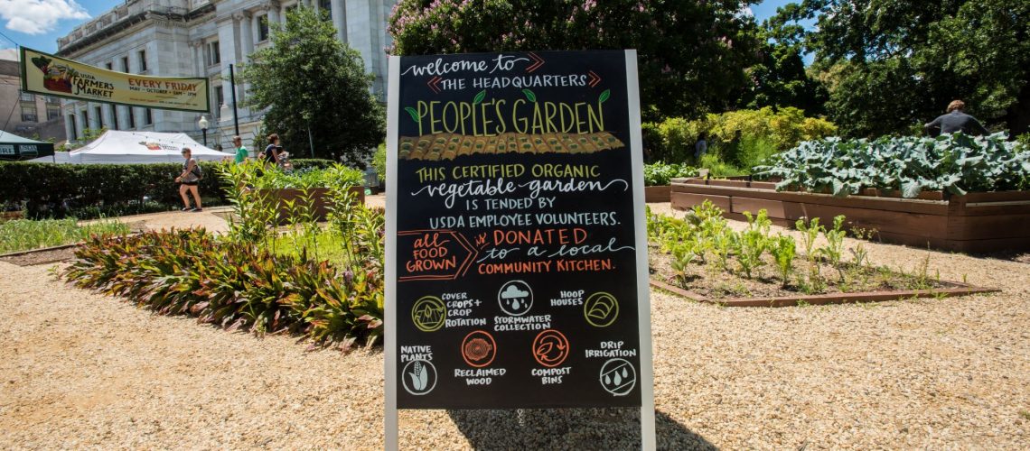 Rows of plants surrounded by a tan gravel walkway, with a chalkboard style sandwich board with colorful lettering and illustrations.