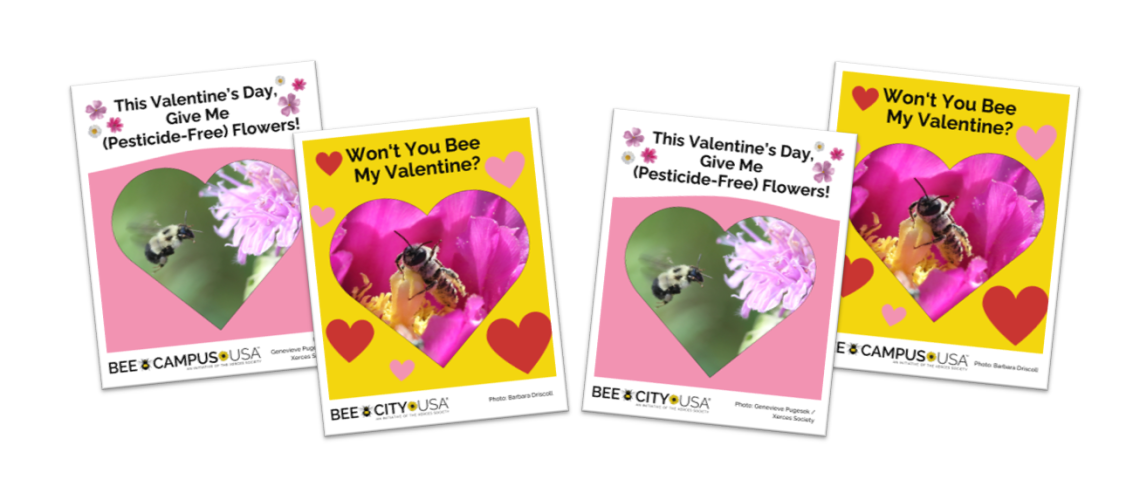 Valentines-2026