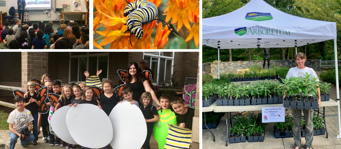 2 photos of elementary schoolers, photo of a monarch caterpillar, photo of a plant sale