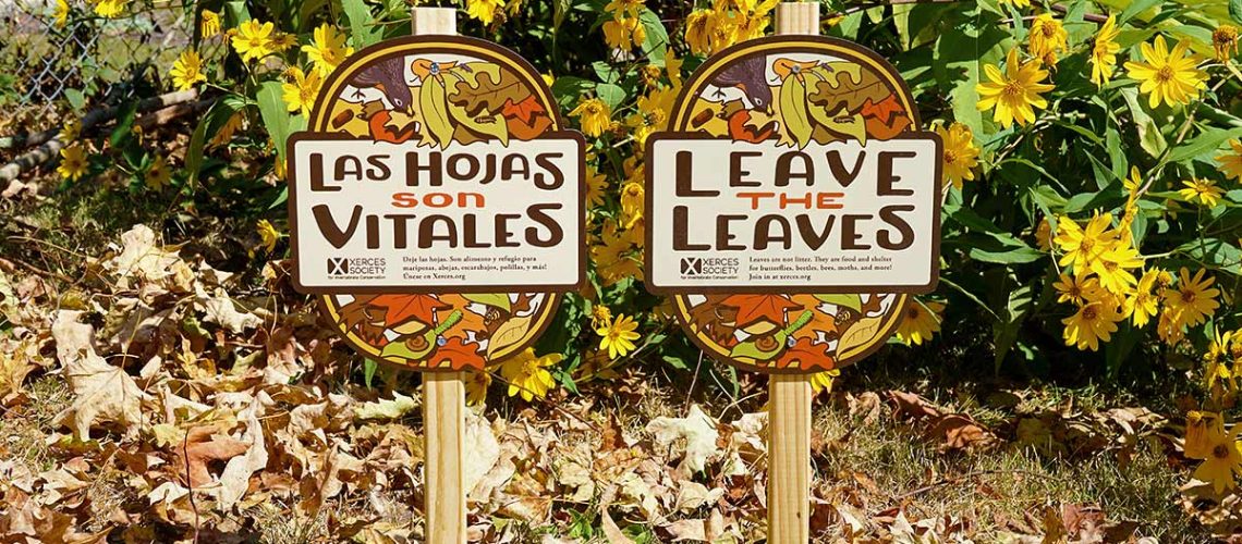 Two signs thay say "leave the leaves", one in spanish, standing amongst a pile of leaves,
