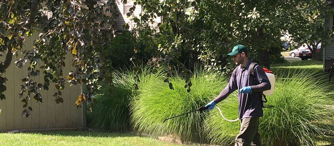 Man walking through a green space spraying pesticides