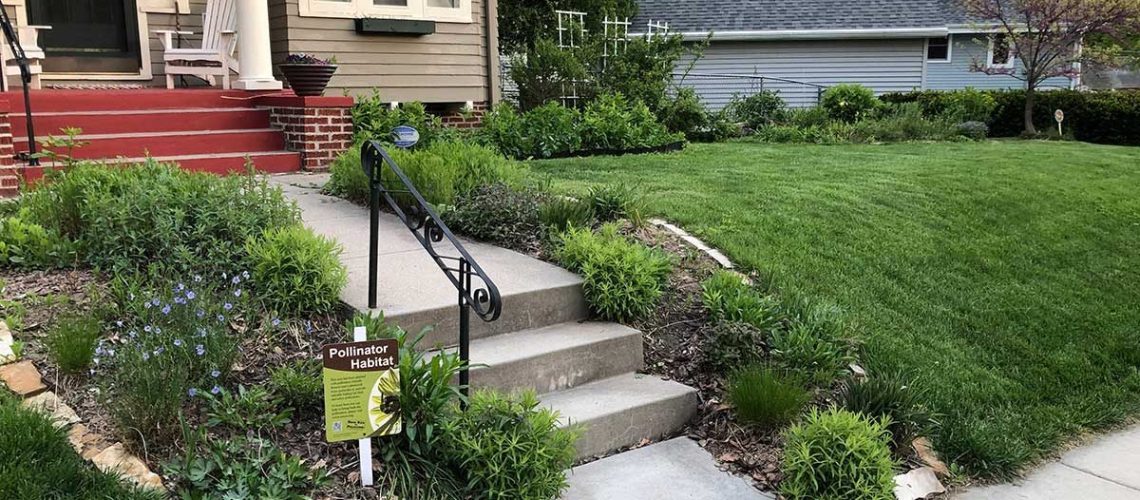 pollinator-garden