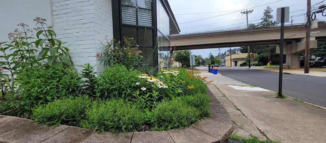 A raised garden bed with green plants next to a white building and a road.